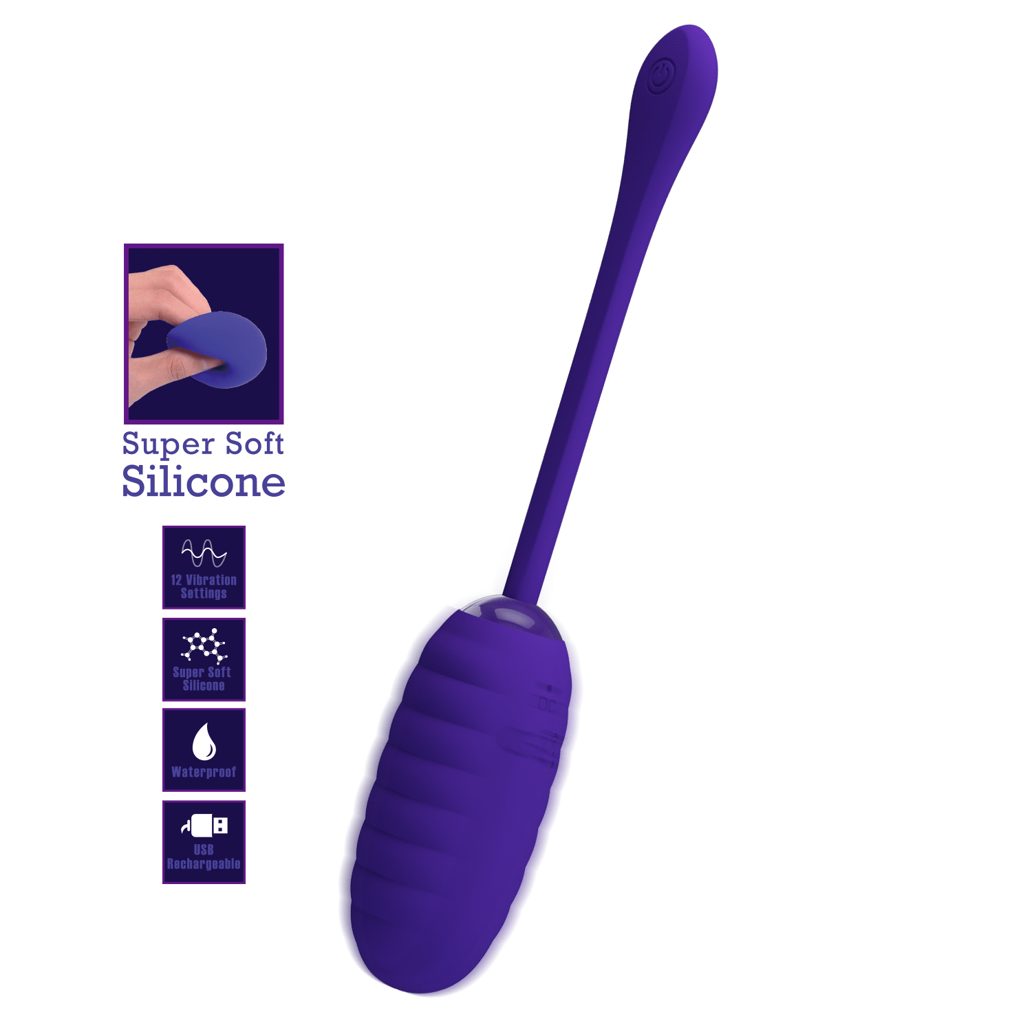 Companion