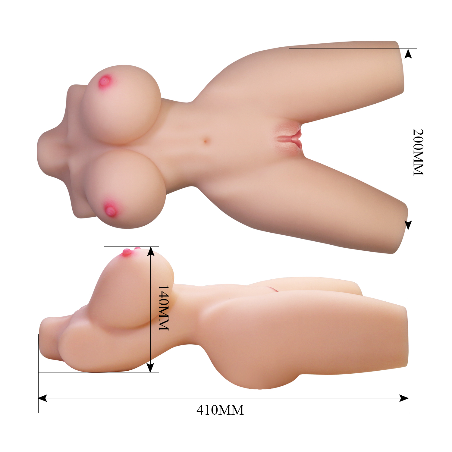 Anatomía Perfecta