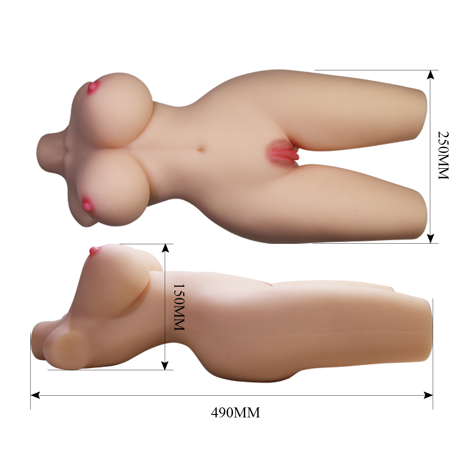 Anatomía Exquisita
