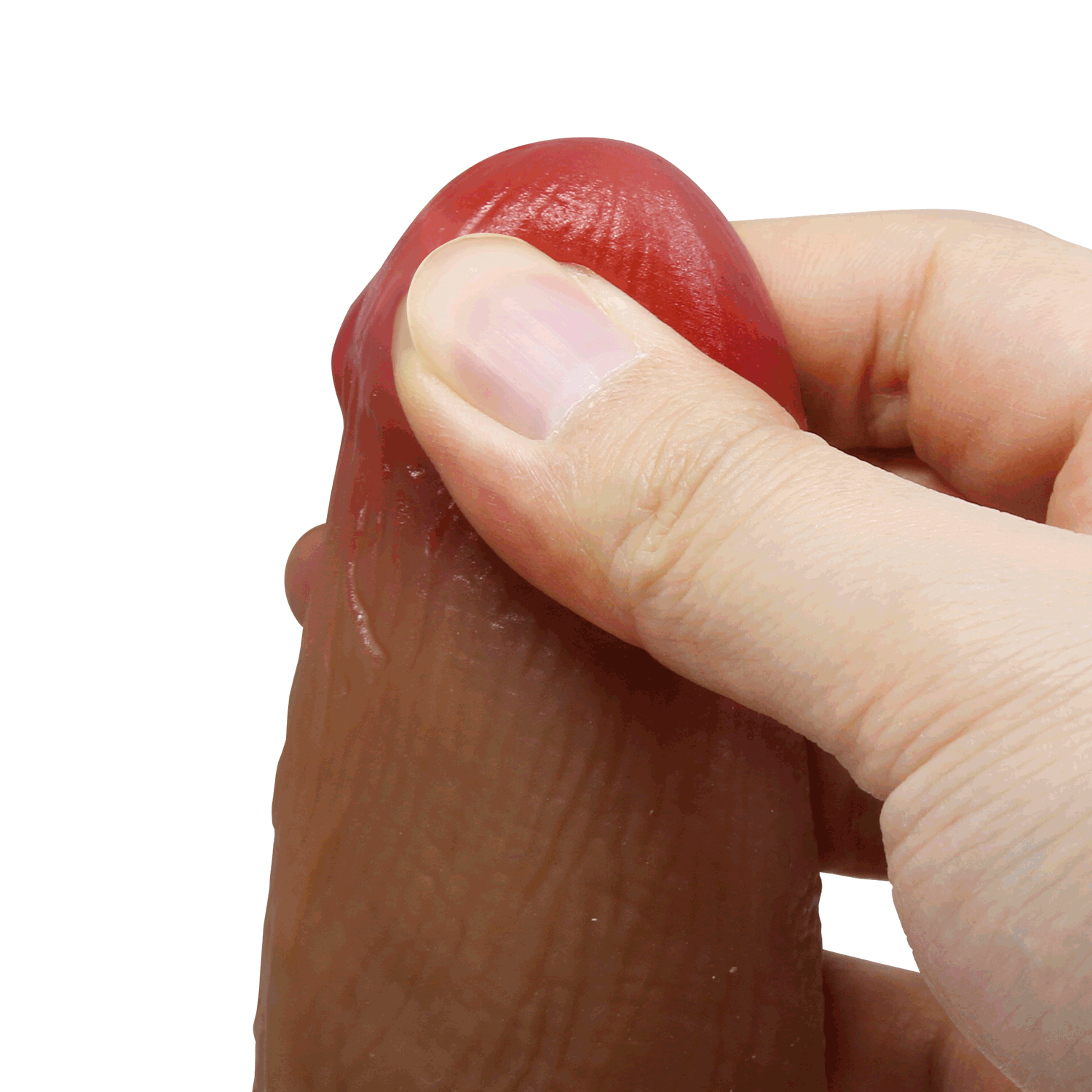 Placer Anatomía Sensorial