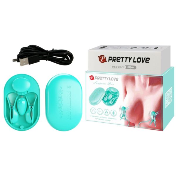 SURPRISE BOX NIPPLE CUPS - BDSM